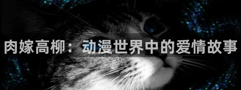 天天动漫网