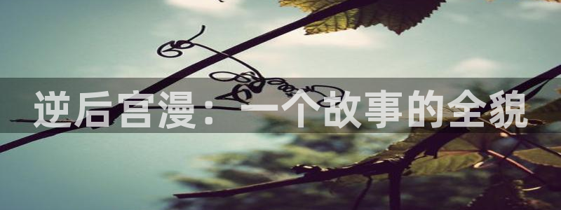 天天动漫库